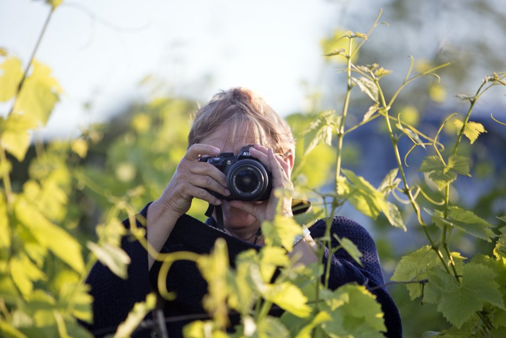 Photography holidays in Italy - Photographer in Sunflowers