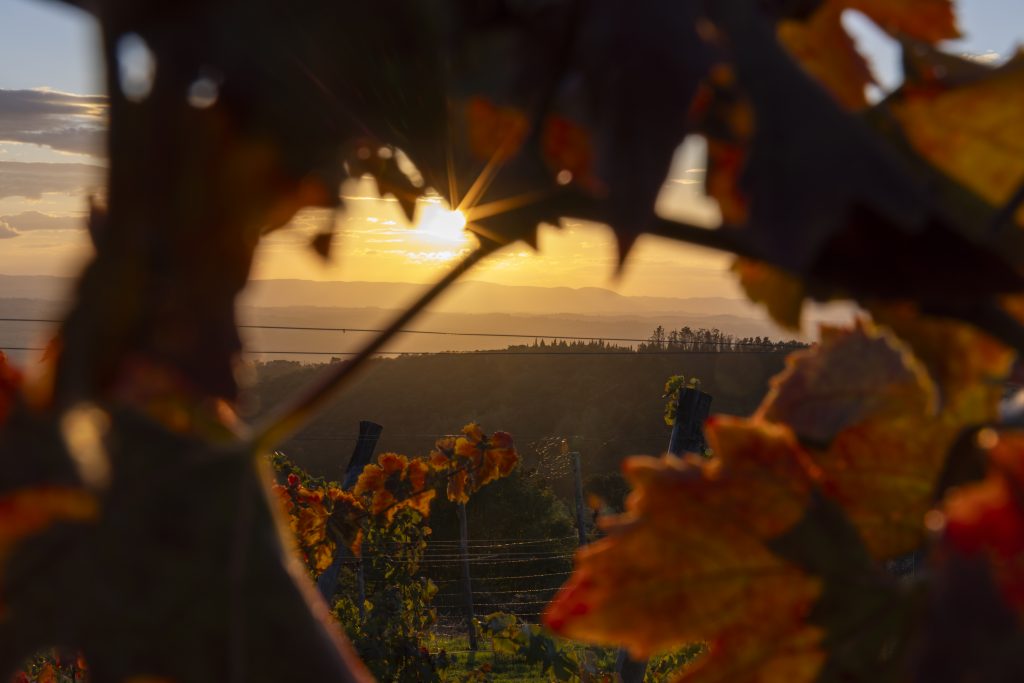 photography trip - Sunset over chianina