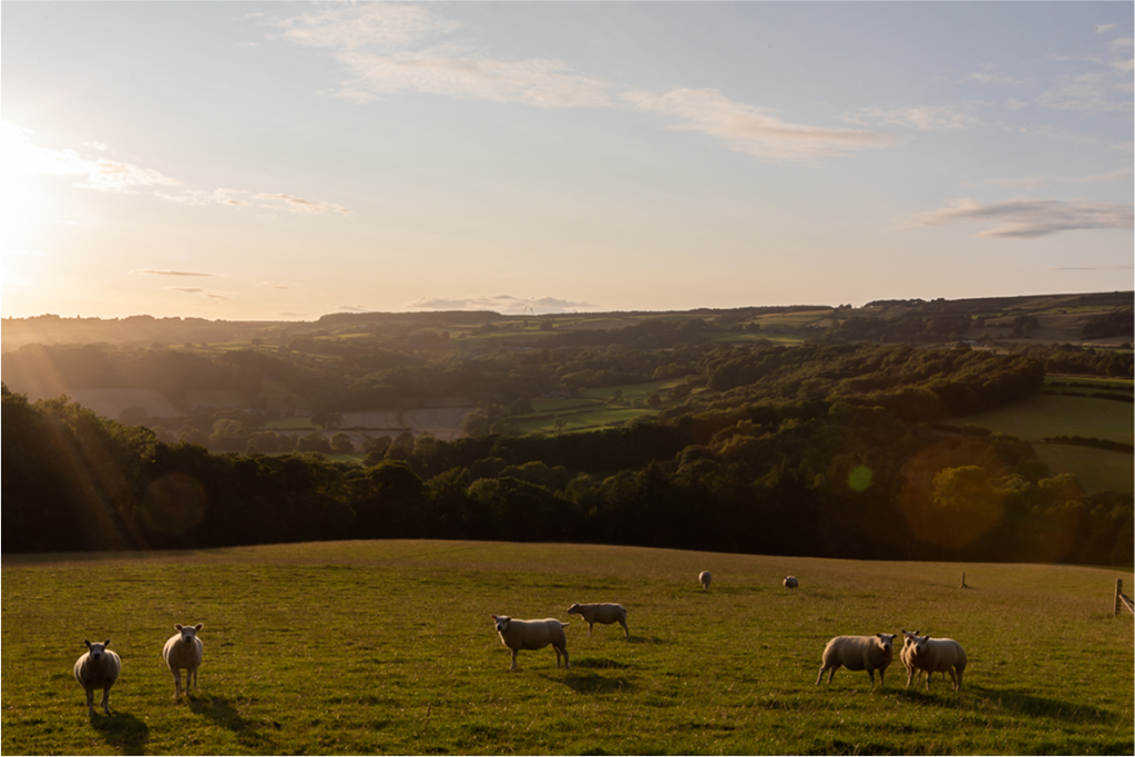 photography tours - York Moors sunset
