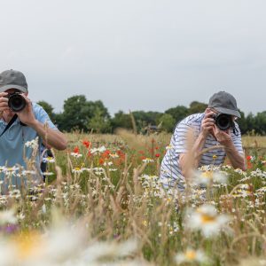 Wiltshire June 18th – June 20th 2027 (shared)